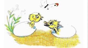 جوجەڵە و مامراویە بوچکەڵە / نوسەر: ڤلادمیر سۆتاییف/ هەڵەوگەردان:سارو خوسرەوی+PDF